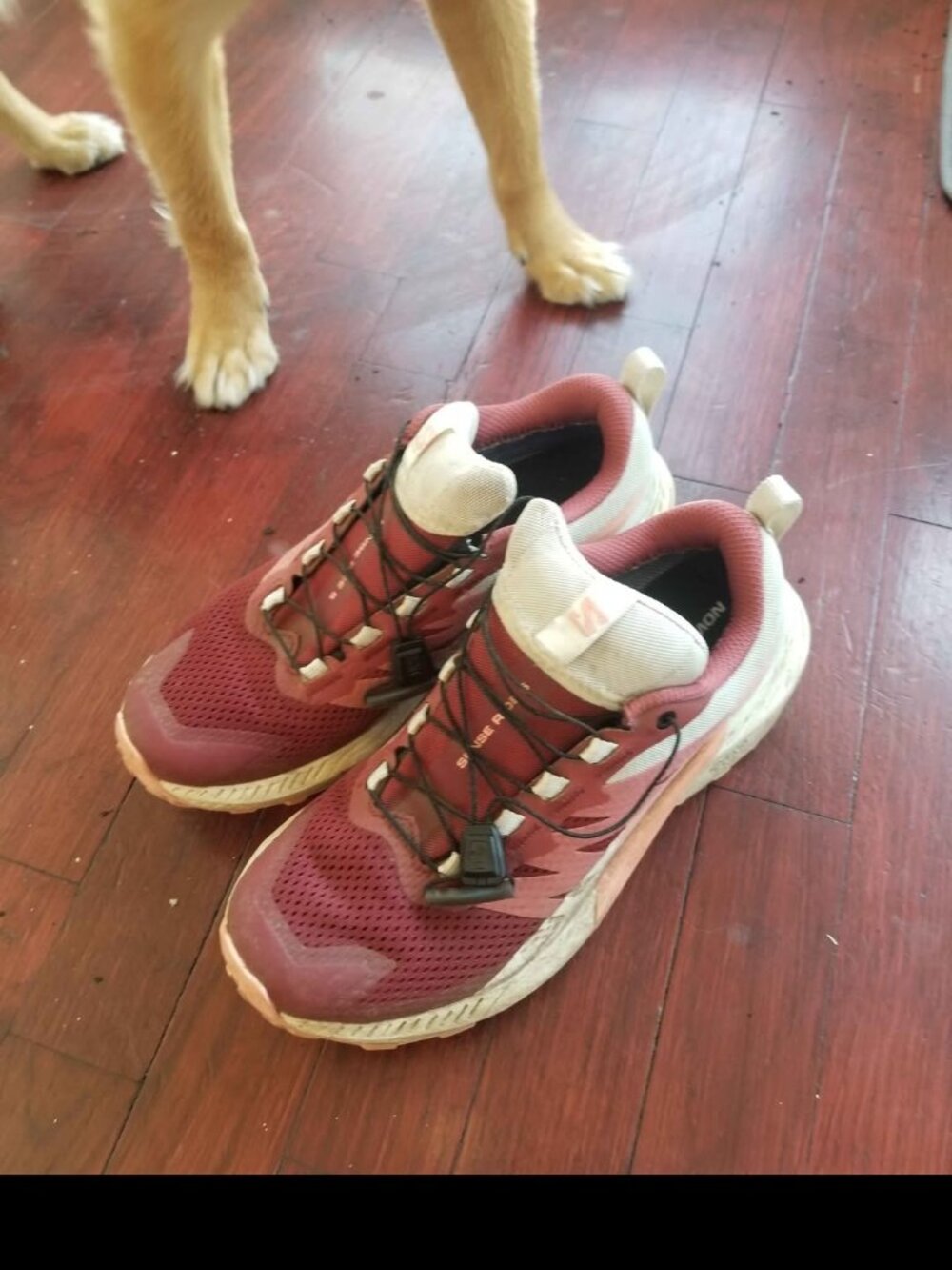 Salomon women's Sense Ride 5 GORE-TEX Trail Running Shoes (SIZE 6.5)